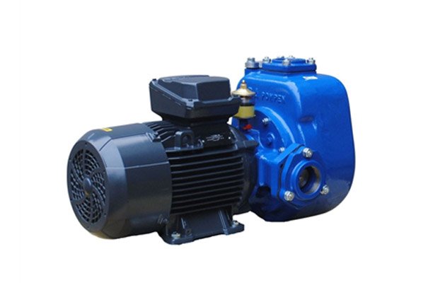 Pump Motors